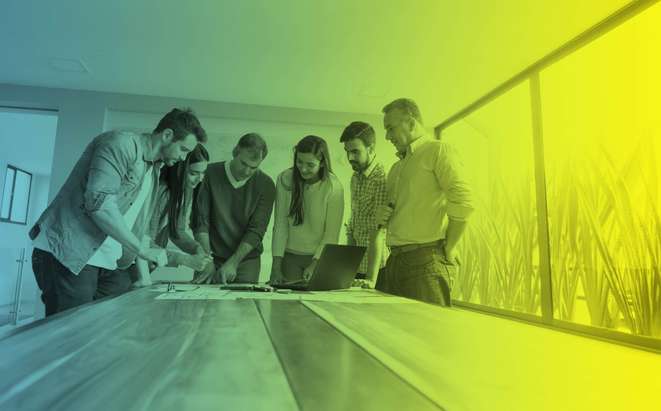 Niche Marketing Agency