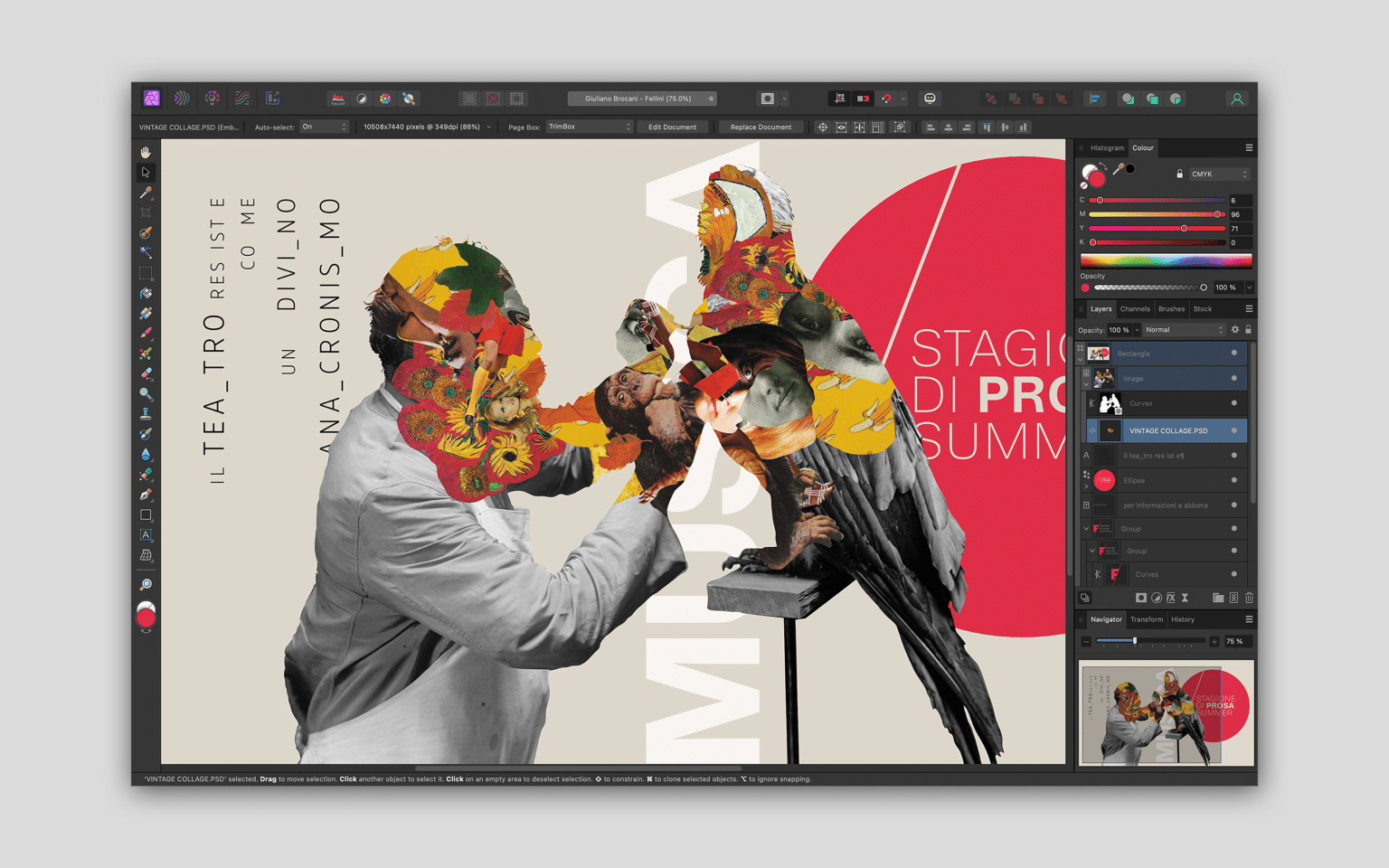 The Definitive Guide To The Best Adobe Alternatives The Definitive Guide To The Best Adobe Alternatives