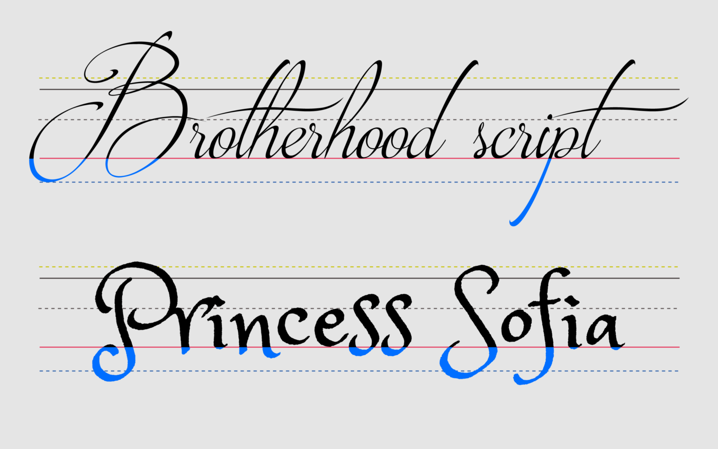 Ascender vs Descender Ascender And Descender In Typography