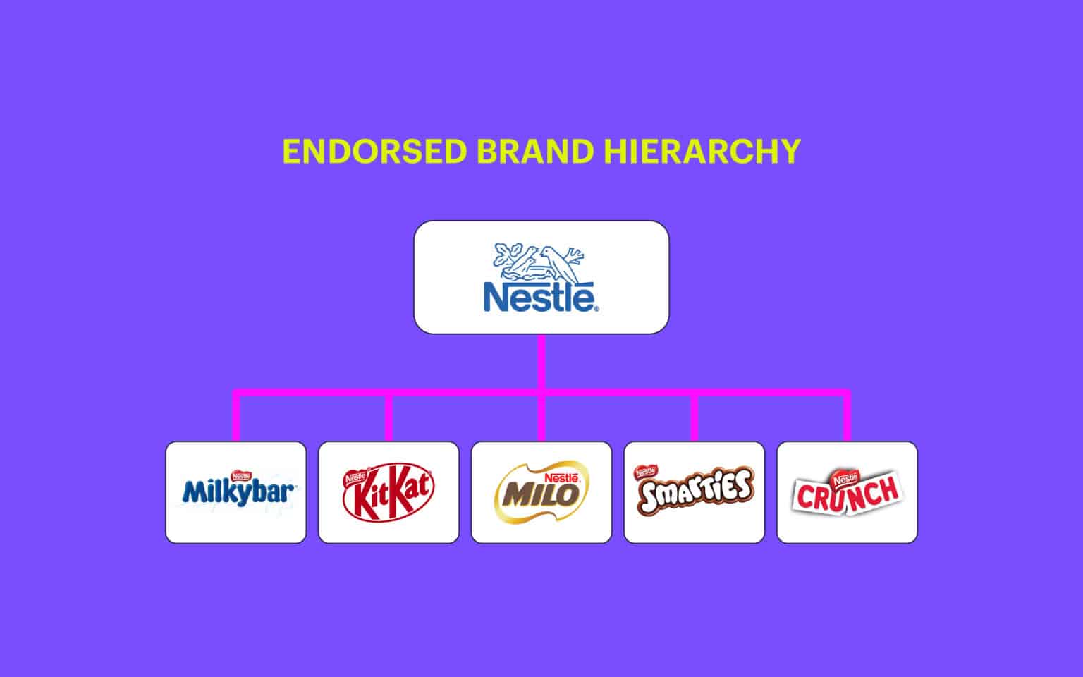 Brand Hierarchy Examples What It Is, Why It Matters