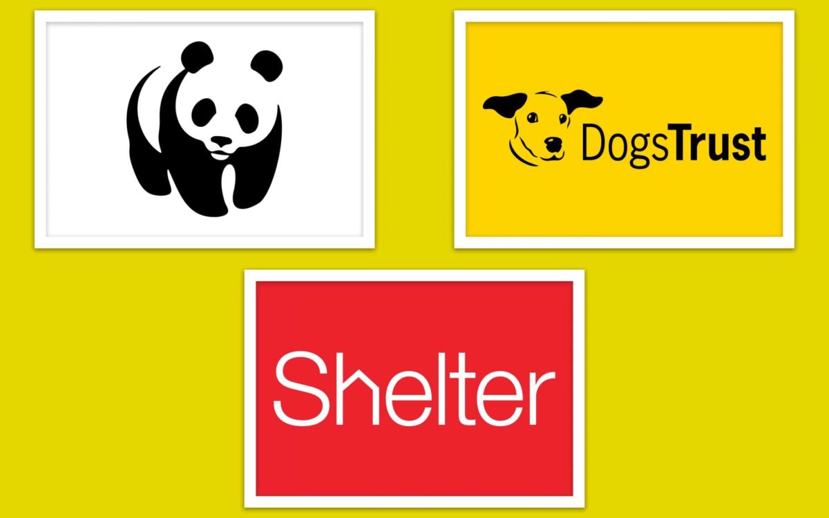 Ultimate Guide To Charity Branding How To Create A Brand With Heart