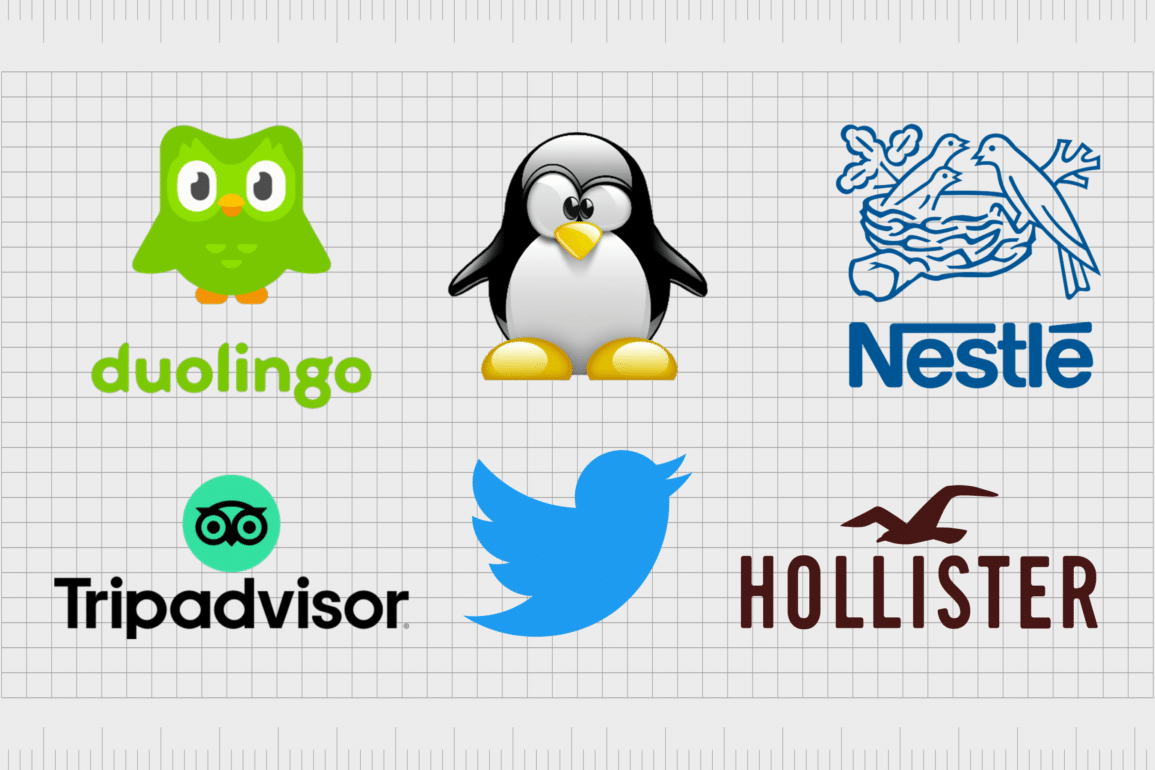 Companies With Bird Logos: The Most Famous Logos With Birds