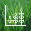 Corporate Social Responsibility