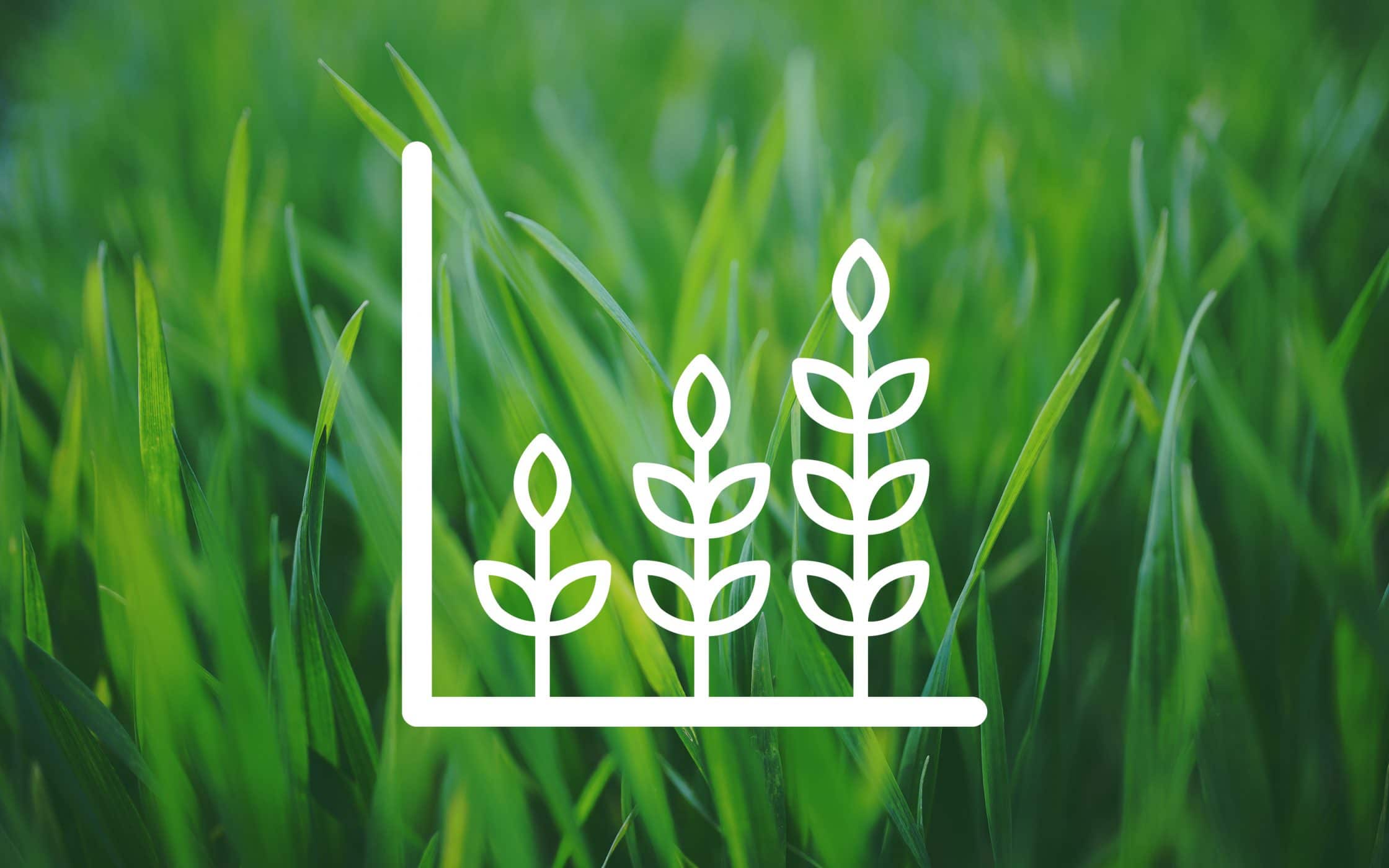 Corporate Social Responsibility