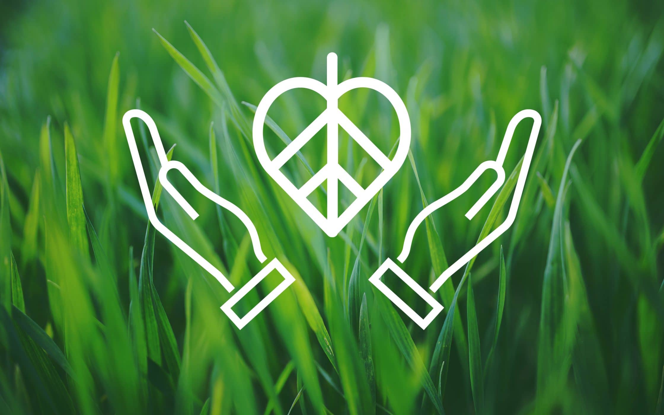 Corporate Social Responsibility