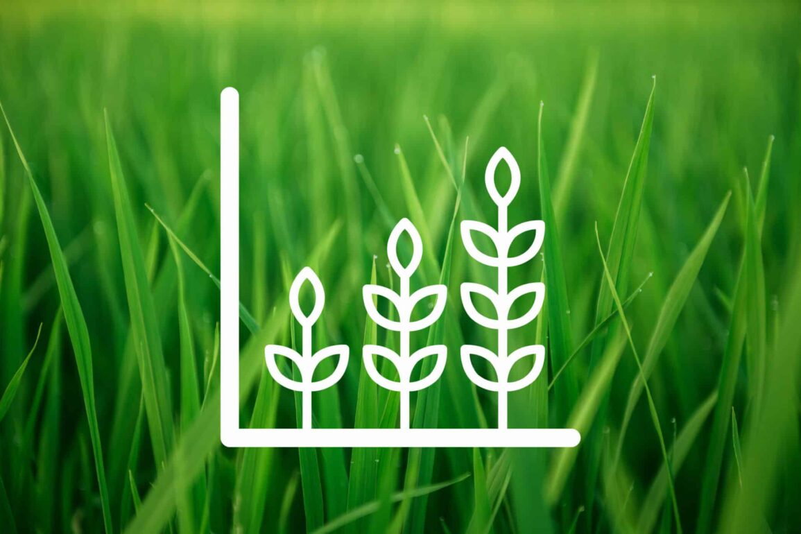 Corporate Social Responsibility