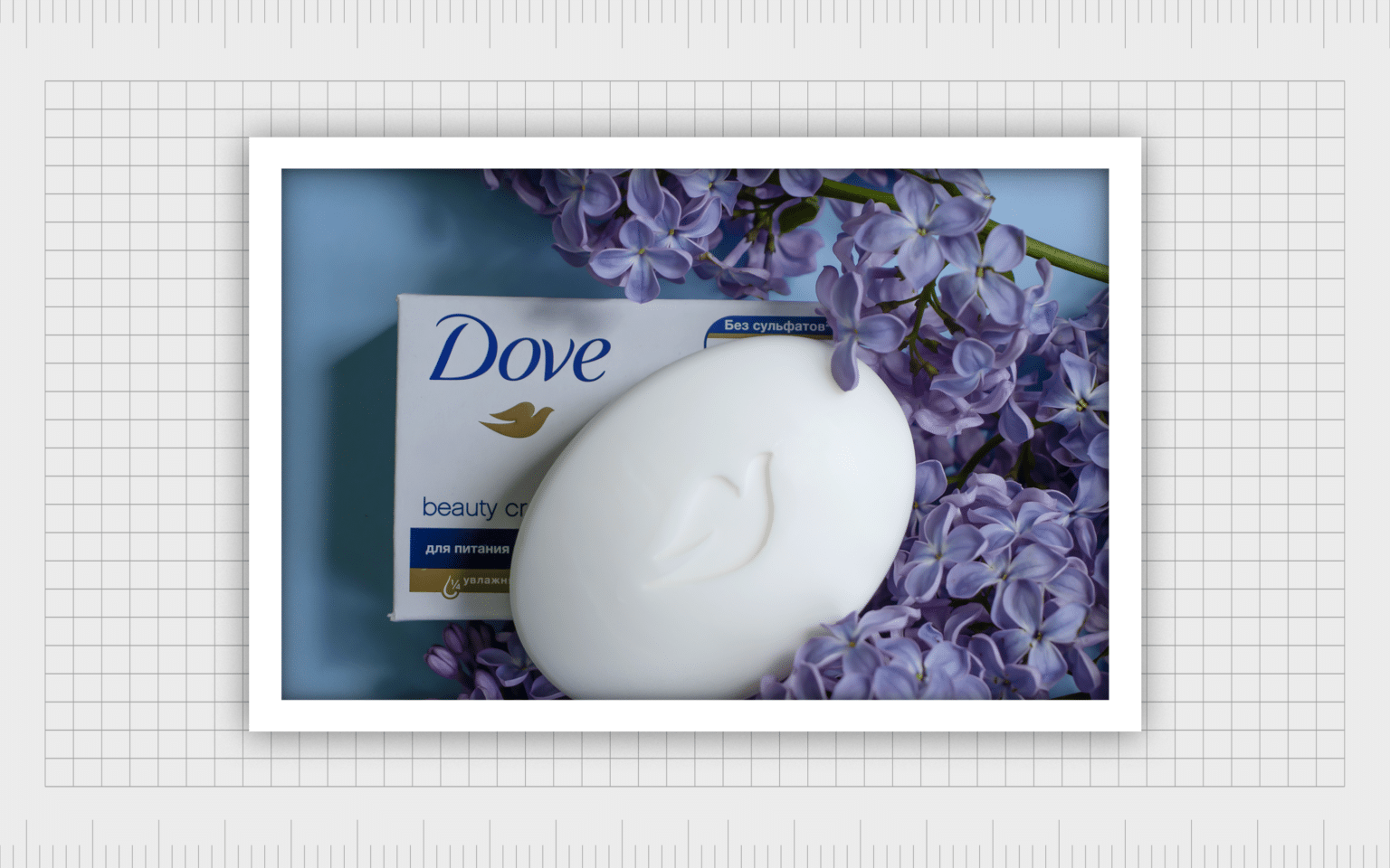 The Dove Soap Logo History And Meaning