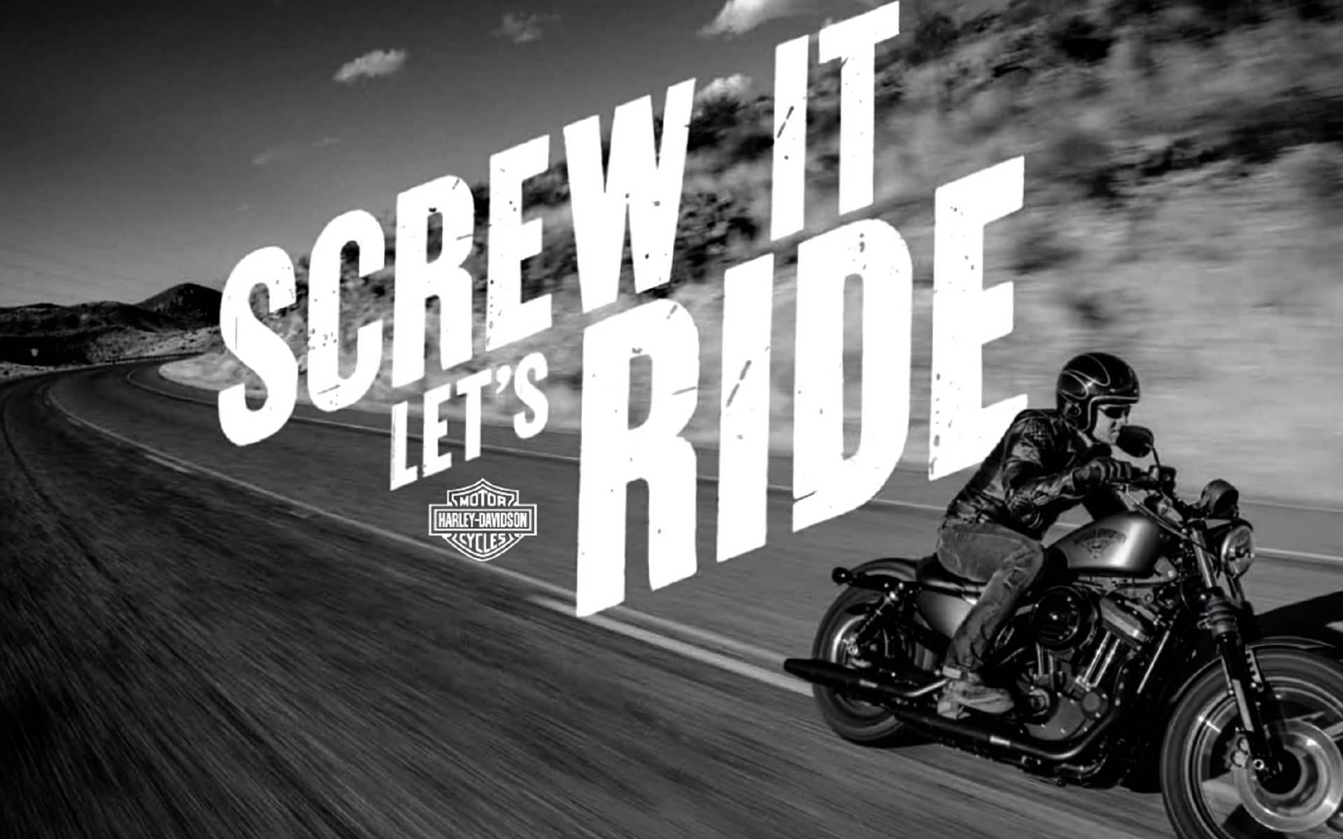 brand new harley davidson price