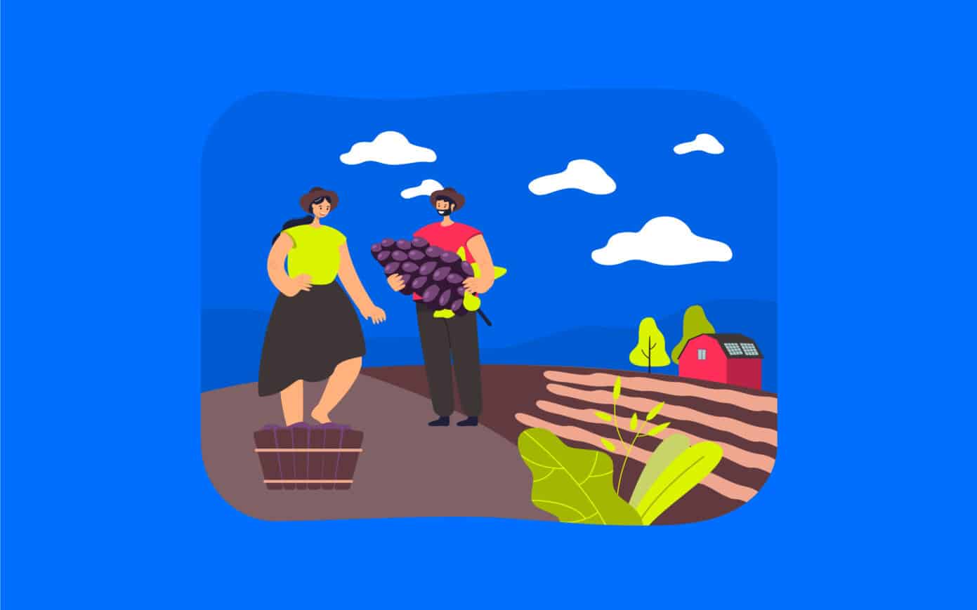 Labelled With Love How To Start Your Own Wine Brand