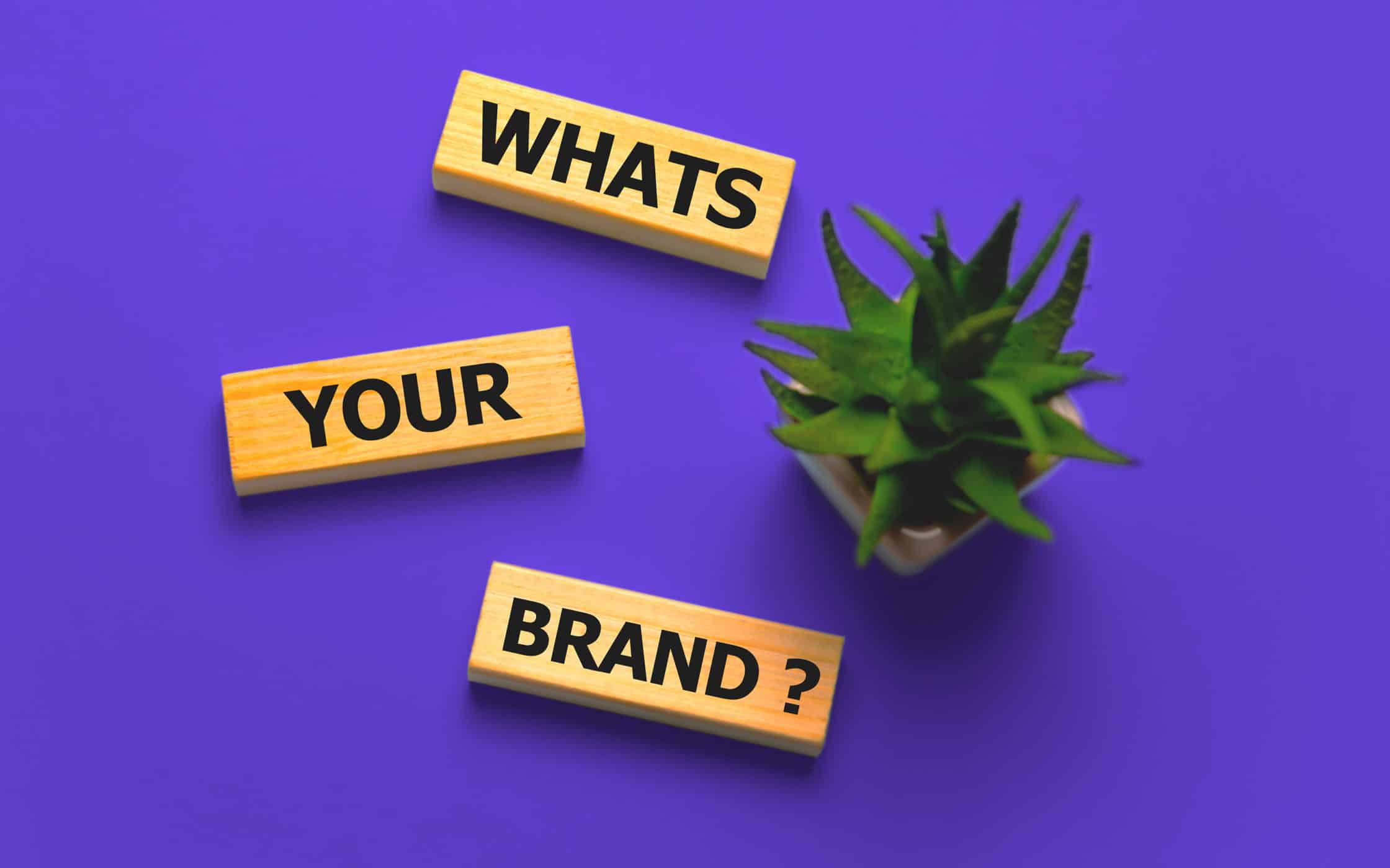 SEO And Content Plan