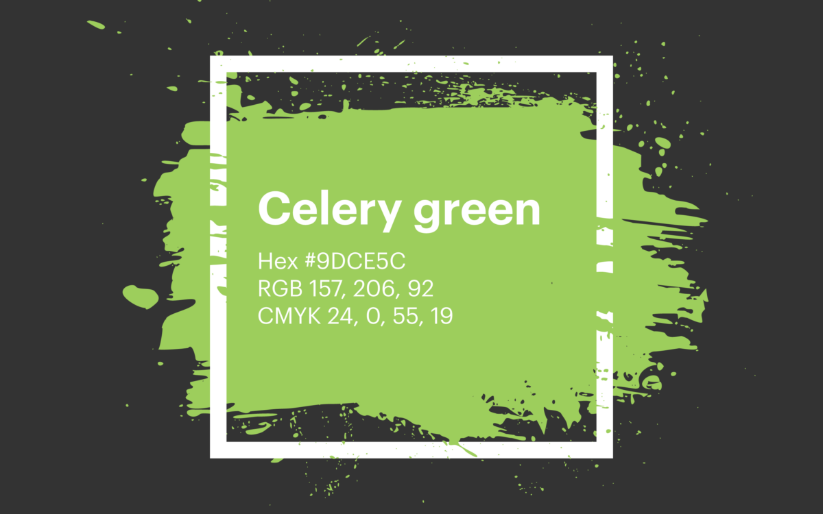 Jade Green Color Codes - The Hex, RGB and CMYK Values That You Need