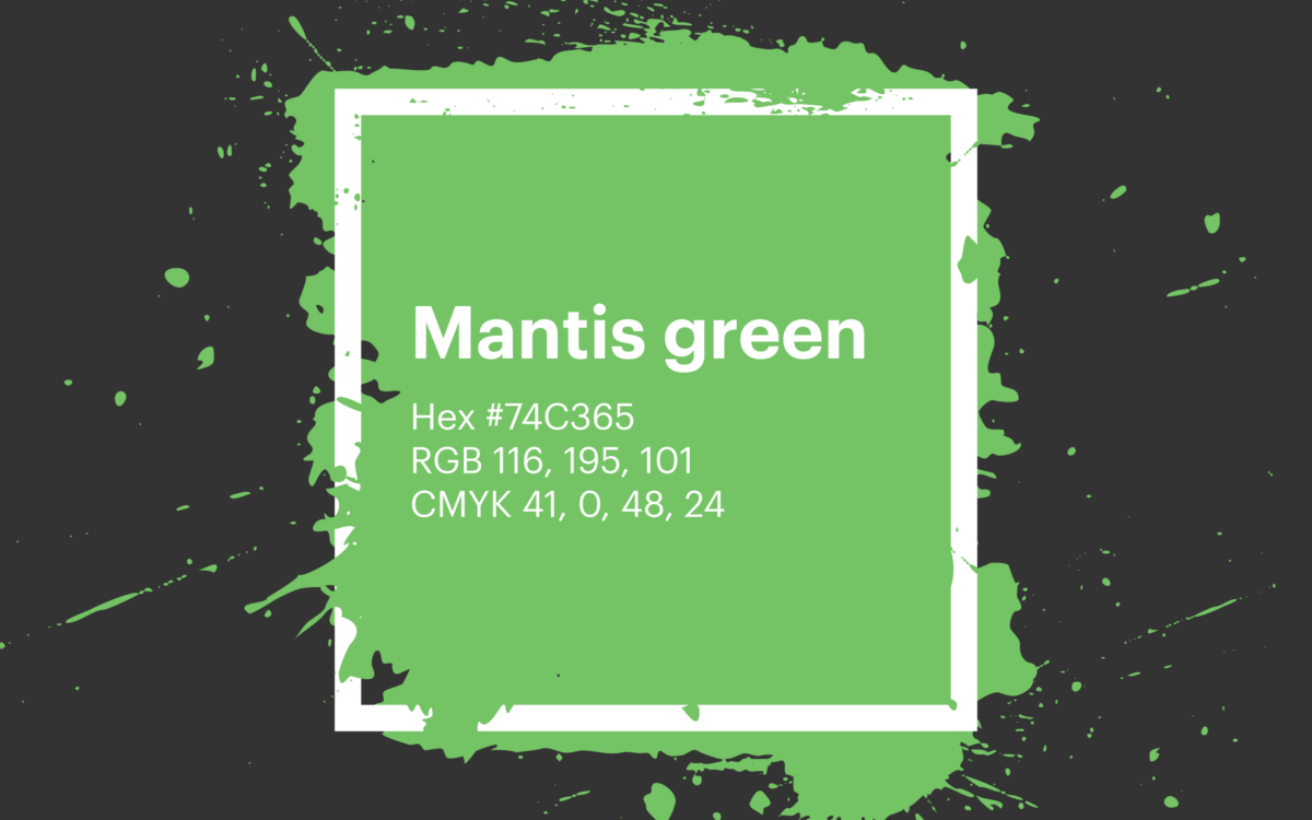 Top 40 Green Hex Codes for Growth, Freshness & Abundance