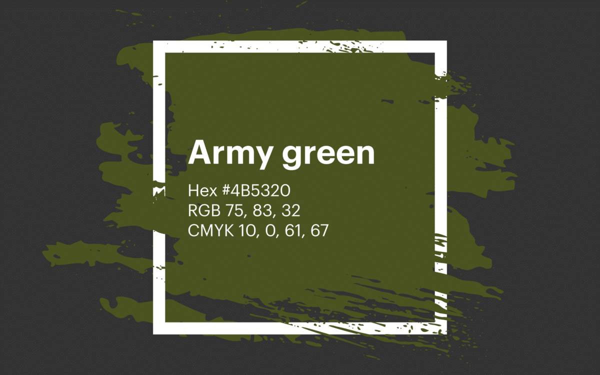 Camouflage green / #78866b hex color