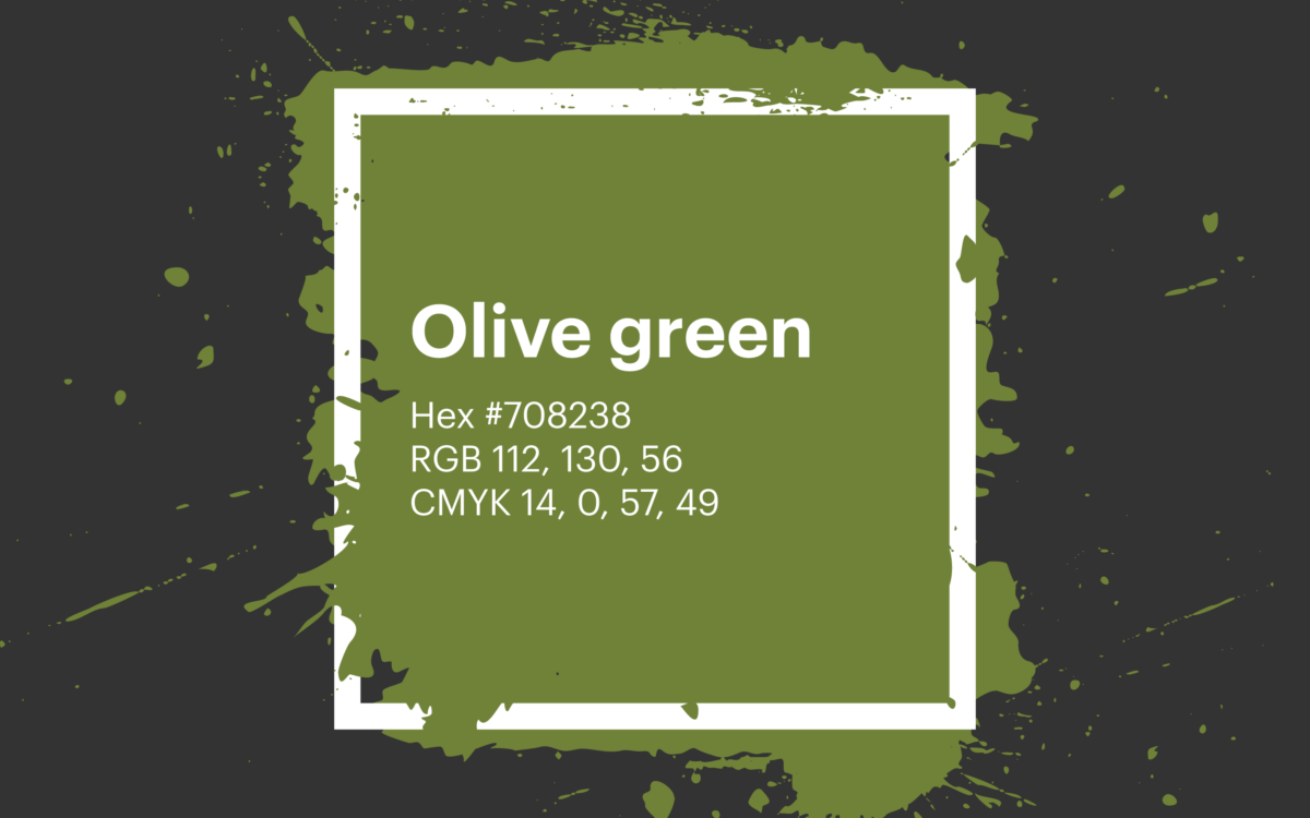 Khaki Green color hex code is #8A865D