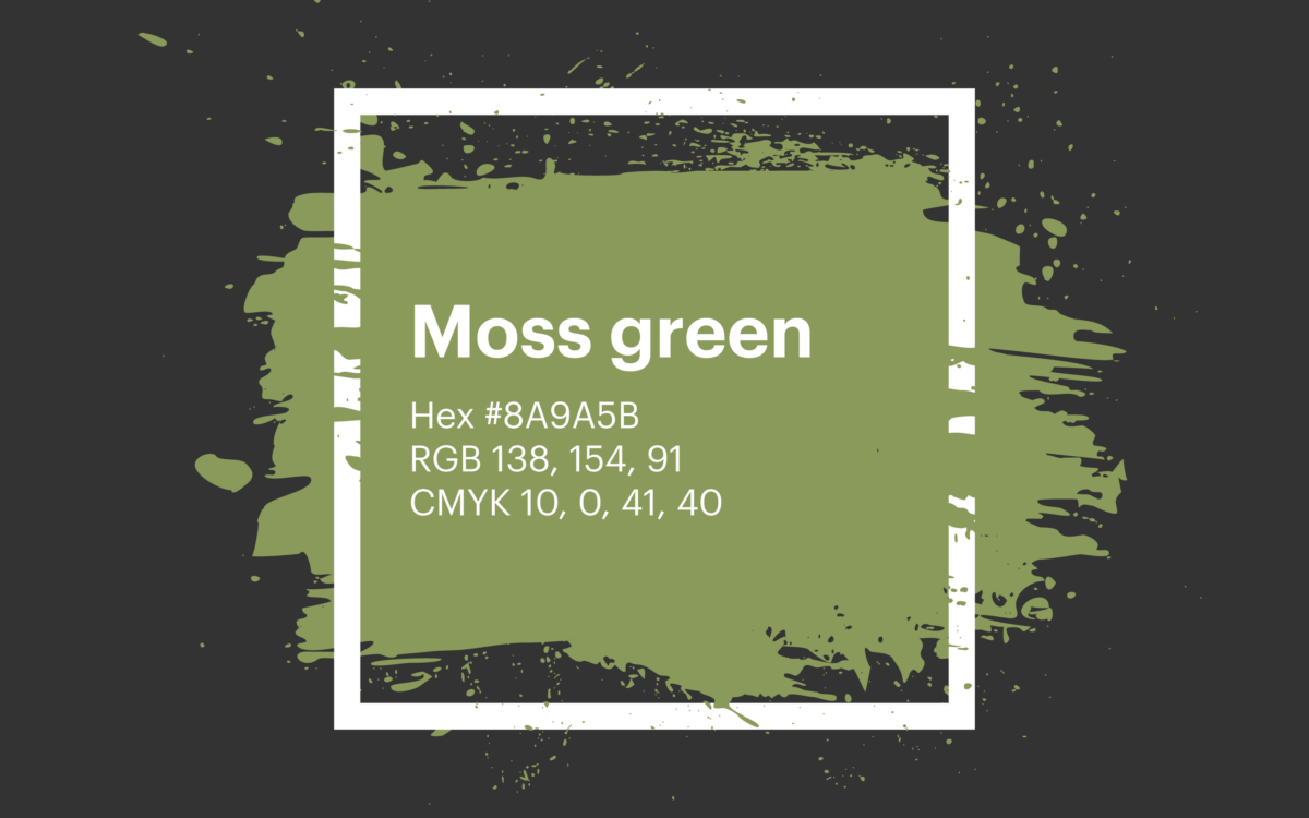 Camouflage green / #78866b hex color