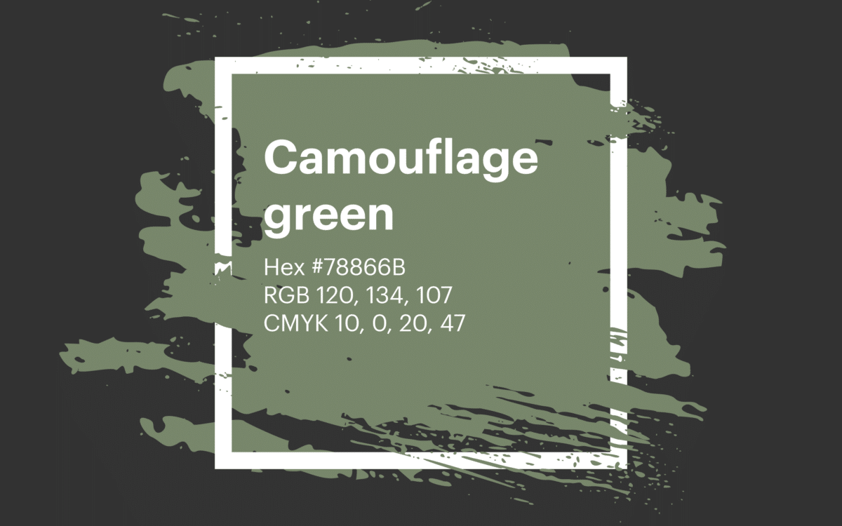 Camouflage green / #78866b hex color