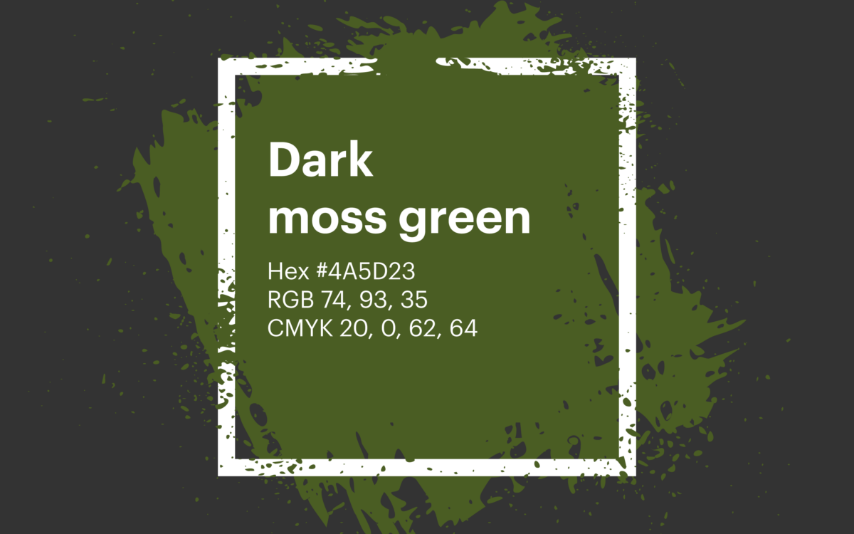 Bottle Green color hex code is #006A4E