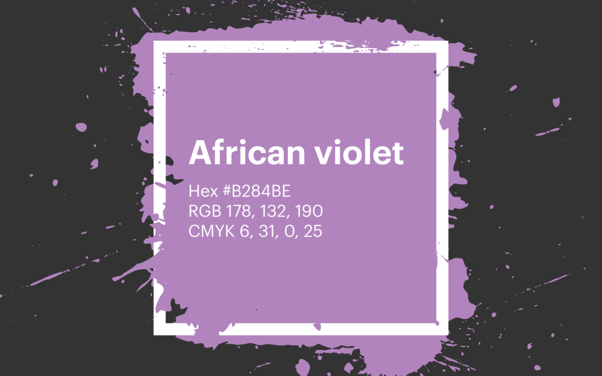 15 Purple Color Palette Inspirations with Names & hex Codes