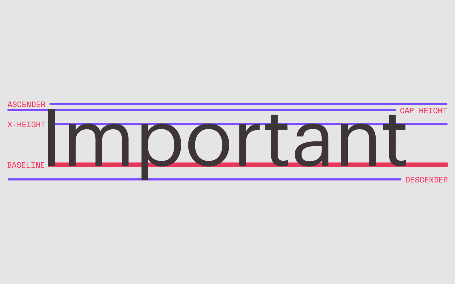 Typography Baseline: What Is A Baseline In Typography?