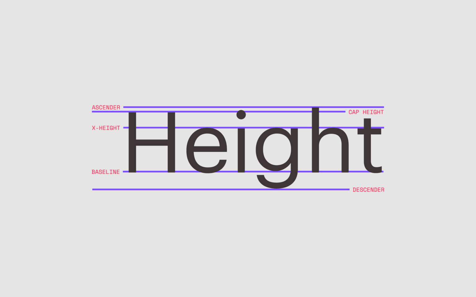 what-is-x-height-in-typography-the-complete-x-height-definition