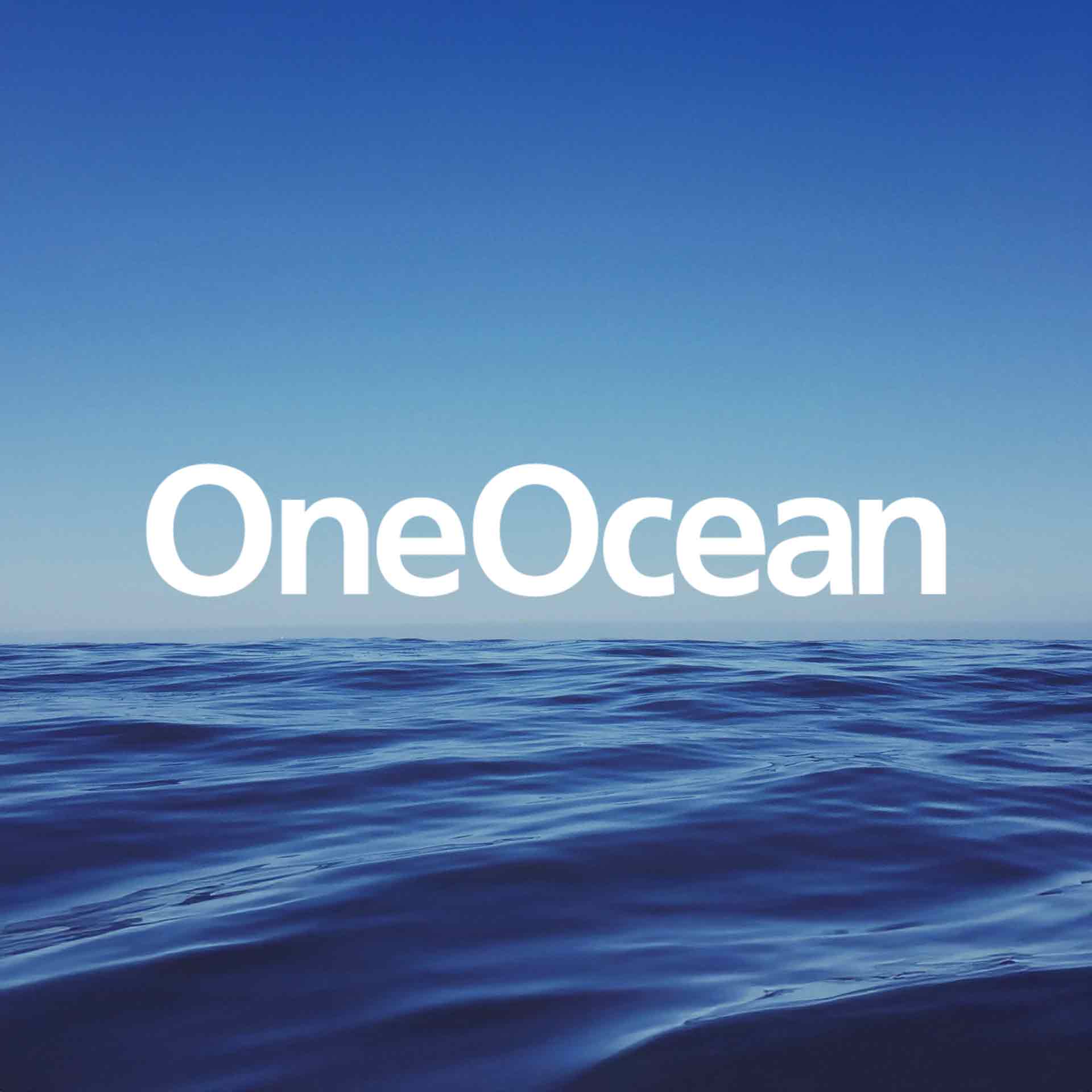 OneOcean marine services branding